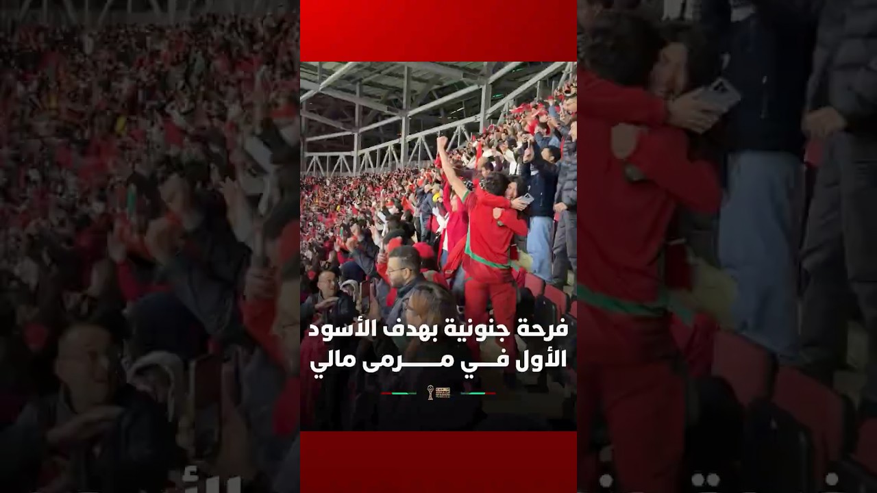 المدرجات تشتعل.. فرحة جنونية بهدف الأسود الأول في مرمى مالي thumbnail