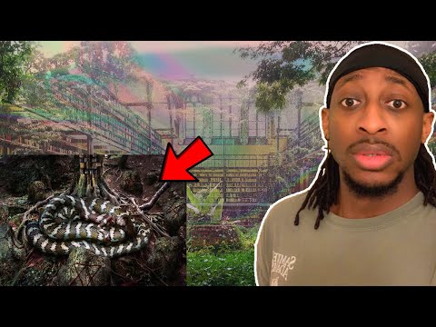 Exploring the SCP Foundation SCP-6000 - The Serpent, the Moose, and the Wanderer's Library Reaction!