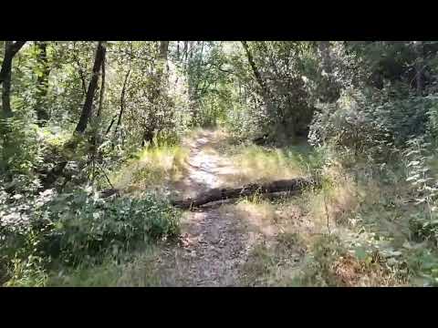 Da Comeana a Artimino, Prato.