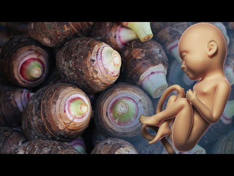, title : 'هذا ما يحدث للحامل والجنين عند أكل القلقاس كل يوم !'