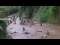 Fenomena Alam Di Kampung Pasirdoton Cidahu