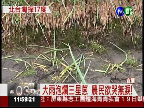 東北季風增強! 北部低溫17度