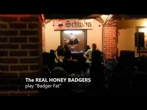, title : 'The Real Honey Badgers play 'Badger Fat''