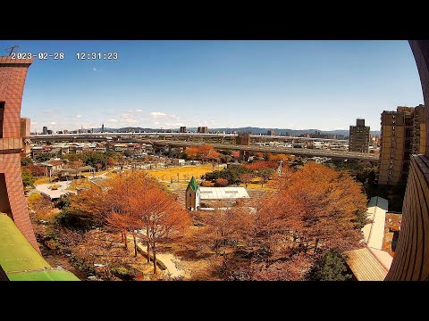 板橋江子翠音樂公園即時影像