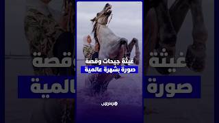 فارسة مغربية تروي قصة صورتها التي نالت شهرة عالمية وتكشف تحديات التبوريدة النسوية thumbnail