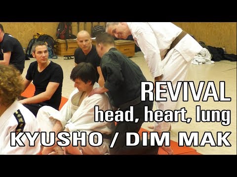 KYUSHO / DIMMAK head, heart, lung REVIVAL  - seminar "Kyusho, Atemi, Tuite" Berlin 2016