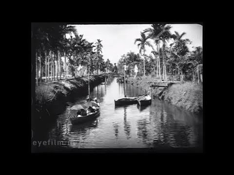 Un village Dayak dans l'ile de Bornéo