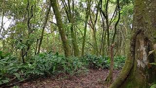 Manhã de Consagração a Deus no Monte. Fevereiro-2026. Palavra: Salmo 121. 