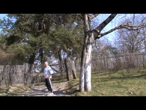 Biserica Fortificată din Viscri