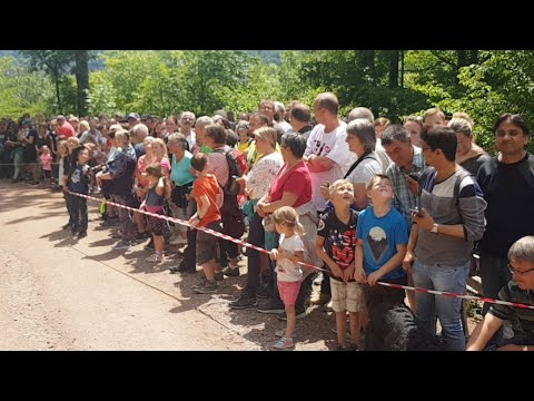 Kai Saaler Weltrekordversuch Zieleinfahrt Live aus Wehr - Stummfilm bis Min.11.00 [20.06.2019]