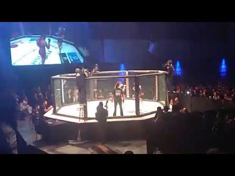 Federação fight 8 nocaute feminino