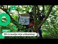 Gemeente wil boomhut van kinderen slopen