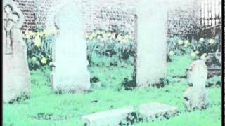 A Serenade to The Ghost Test & Midlake