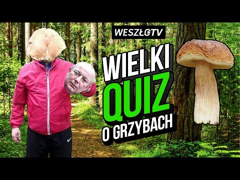 QUIZ: WIELKI QUIZ WIEDZY O GRZYBACH. ILE KOWAL WIE O GRZYBOBRANIU?