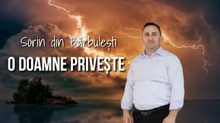 Download lagu Sorin din Barbulesti - O DOAMNE PRIVEȘTE mp3 Download lagu Sorin din Barbulesti - O DOAMNE PRIVEȘTE mp3