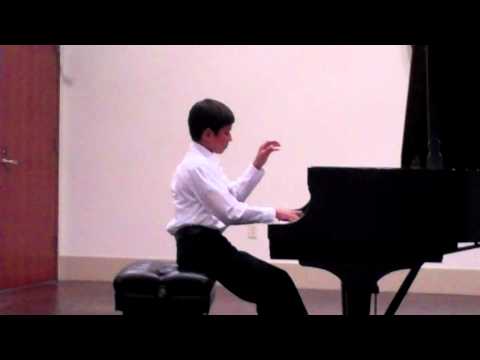 Stefan Marinac - Chopin Nocturne in F Major Op.15 No.1