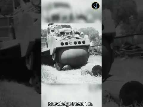 Roligan Tyres.#viral