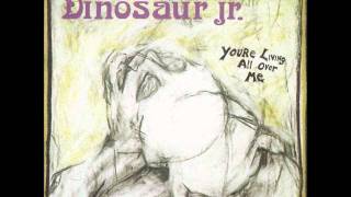 Dinosaur Jr. - In A Jar