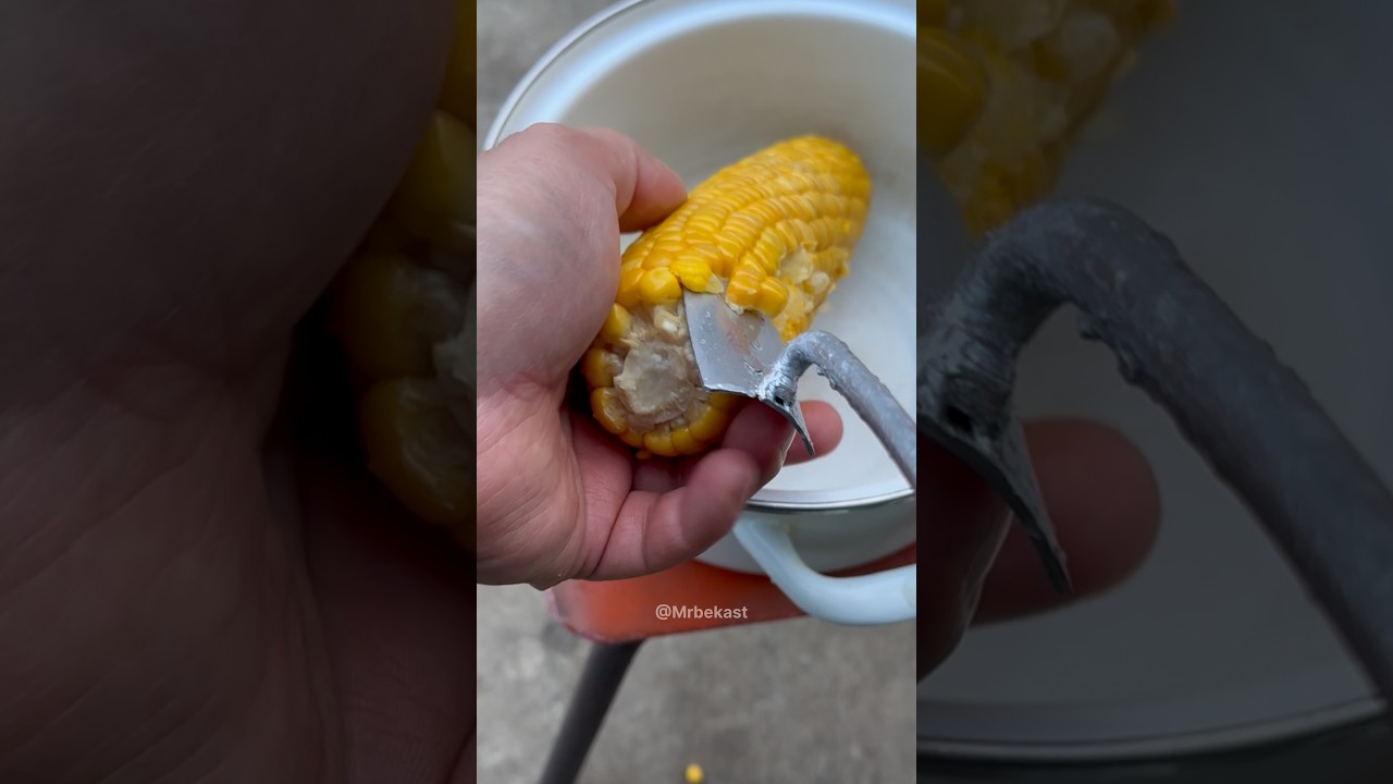 A smart mini device for removing cooked corn quickly and efficiently