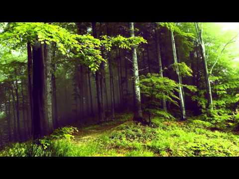 Sibelius   The Wood Nymph, Melodrama, Op 15   Vänskä