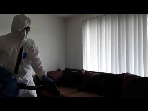 Tidy Clean LLC video.