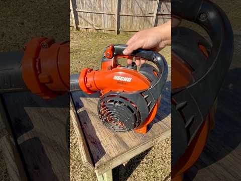 It Might Be Flooded!  #shorts #echo