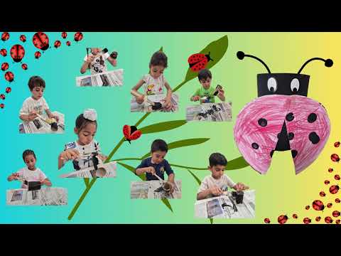 preview video