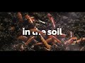 Why We Re Changing The Way We Farm From The Ground Up Unilever