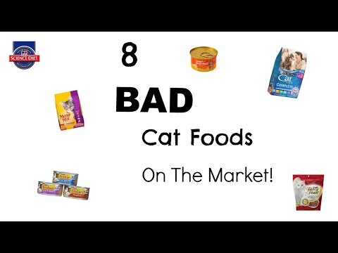 8 Bad Cat Foods On The Market