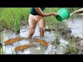 Beautiful Sexy Girl Cambodia Traditional Fishing How to Catch Fish Water Snake Amazing Sexy Girl2017