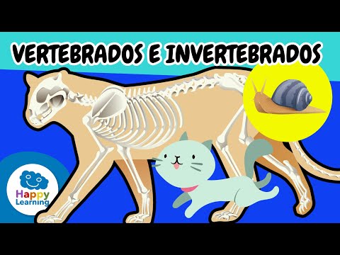 🐘🦋Animales VERTEBRADOS E INVERTEBRADOS | Vídeos Educativos para Niños de PRIMARIA@HappyLearningES
