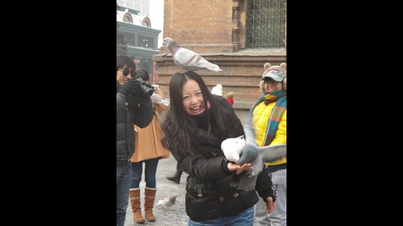 Harbin private tour guide