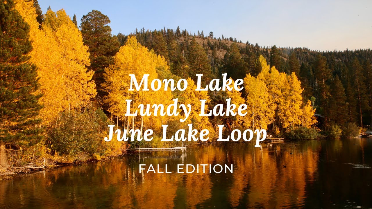 [4K] 🍂🍁Fall colors | Mono Lake, June Lake Loop, Lundy Lake