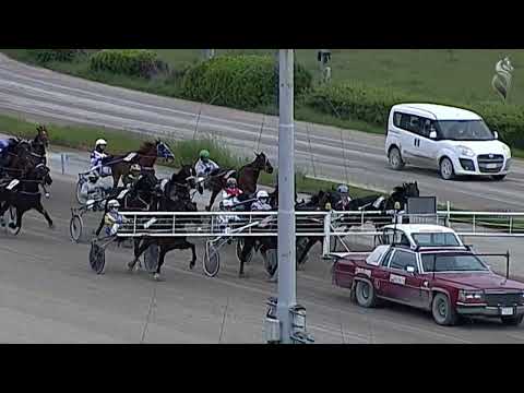 Aversa trotto 30 Marzo 2022 - 5° Corsa