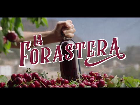 La Forastera, nova sèrie d'À Punt (2019)