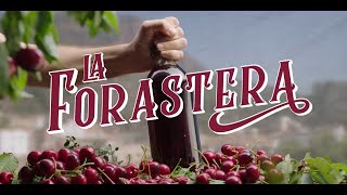 La Forastera, nova sèrie d'À Punt (2019)