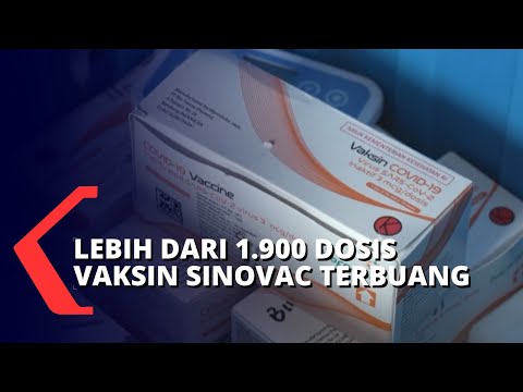 , title : '1.900 Dosis Lebih Vaksin Sinovac Terbuang Sia-sia'