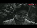Madhavi And Chiranjeevi In Kukka Katuku Cheppu Debba Telugu Movie Telugu Filmnagar