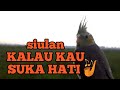 MASTERAN SIULAN KALAU KAU SUKA HATI UNTUK FALK JANTAN