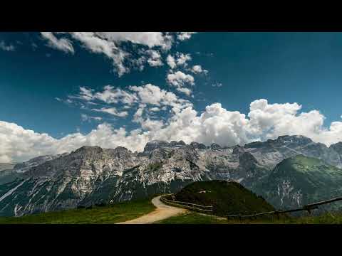 A Beira do Tanque - Alice Anders