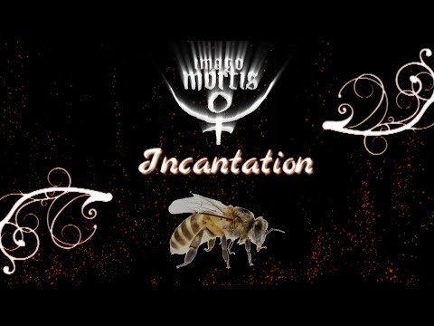 Imago Mortis - Incantation (Lyric Video)