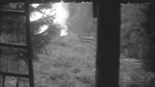 Red House Painters - Song For A Blue Guitar