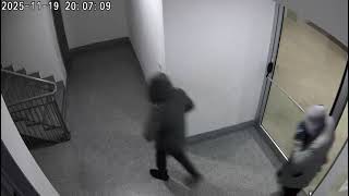 ladri-in-azione-a-salerno-ecco-il-video-della-telecamera