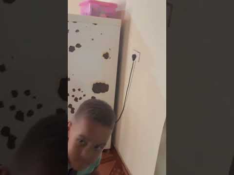 Como é as casa no interior do Maranhão município palmeirandia 