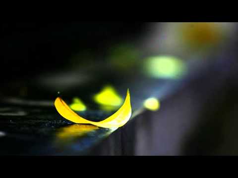 Tự tình sớm đông - Dzoãn Minh