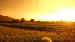 Becky Hill &quot;Unpredictable&quot; [Metroplane Remix] | House