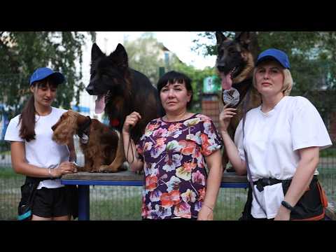 Бийчане успешно выступили на Чемпионате и Первенстве СФО по спортивно-прикладному собаководству