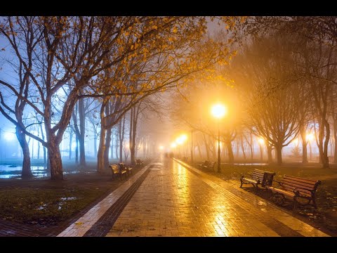 젊은 날의 연인들 - 테너 신성현