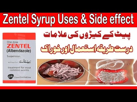 Zentel Syrup | Zentel  Tablet Uses | Pait Ke Keeron Ka Ilaj in Urdu | Treatment for Intestinal Worms