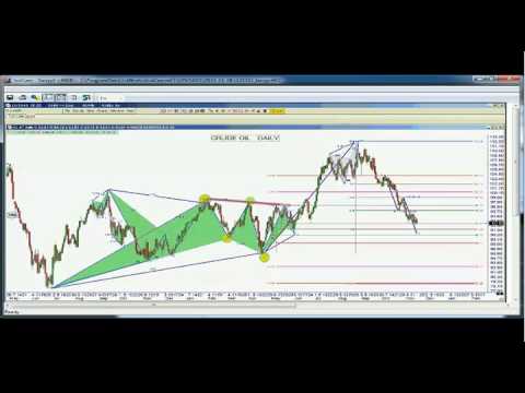 Nov 18th Trade What You See with host Larry Pesavento on TFNN   2013